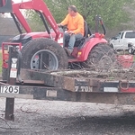 DIAMOND TREE SERVICE