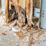 Garage Door Trim Rot/BEFORE