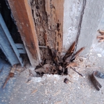 Rotted wood surrounding the garage door trim