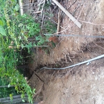 Service Run from Pole to Meter