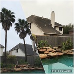 Palm Removal