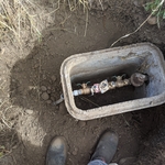 The new backflow