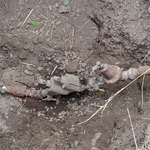 The old backflow has been dug up