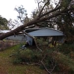 Pine tree on carport removal.
