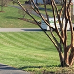 Mowing