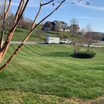 Mowing