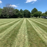 Commercial Mowing