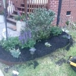 Mulch installation
