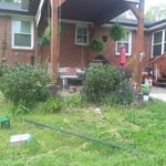 Unsightly flower bed