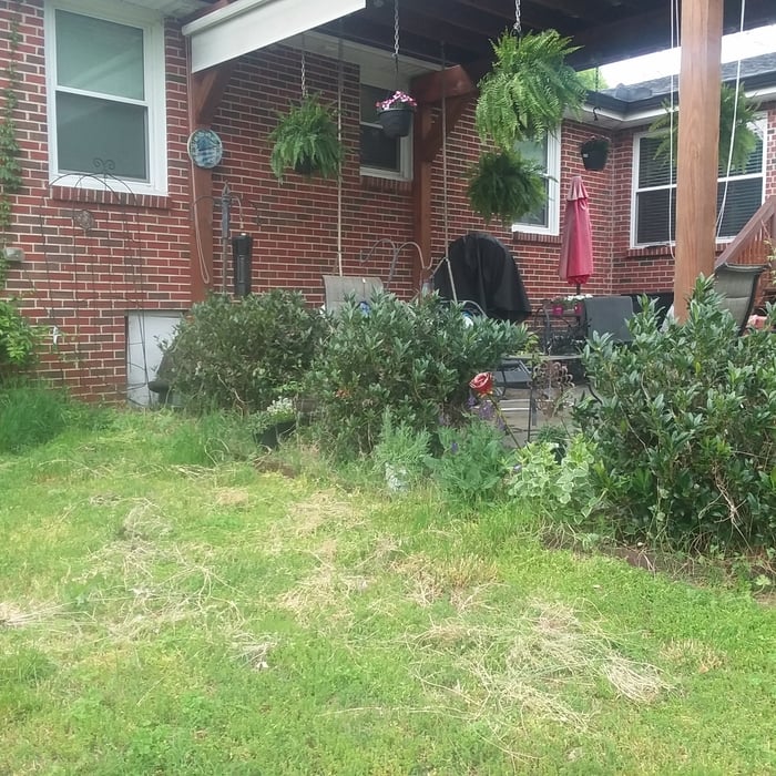 Unkept flower bed