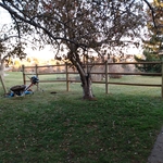 Ranch style fencing