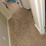 Carpet Restrech