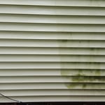 moldy vinyl siding