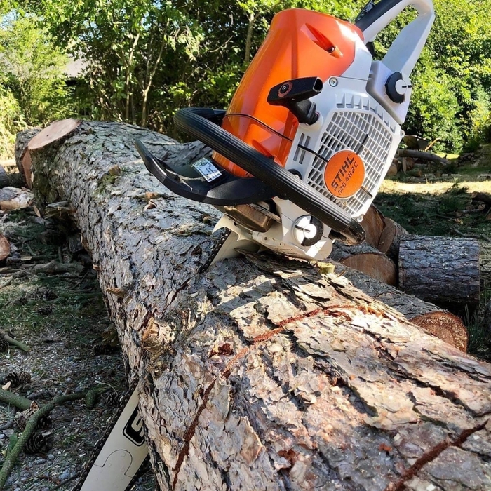 Tree Removal