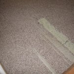 Dog damaged carpet in a doorway