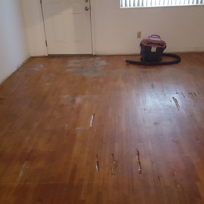Living Room sub-floor prep
