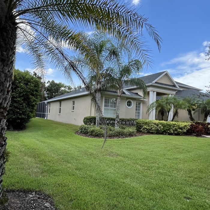 Palm Harbor Roof 1