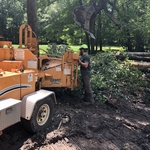 Lot clearing