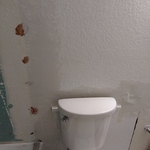 1st coat