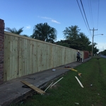 fence