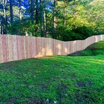 Cedar