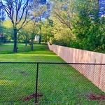 Cedar
