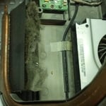 Reason Laptops run hot and shut down