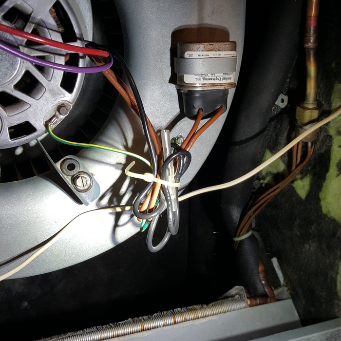 After mold Treatments