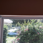 front window