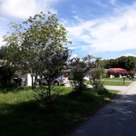 House Rehab
