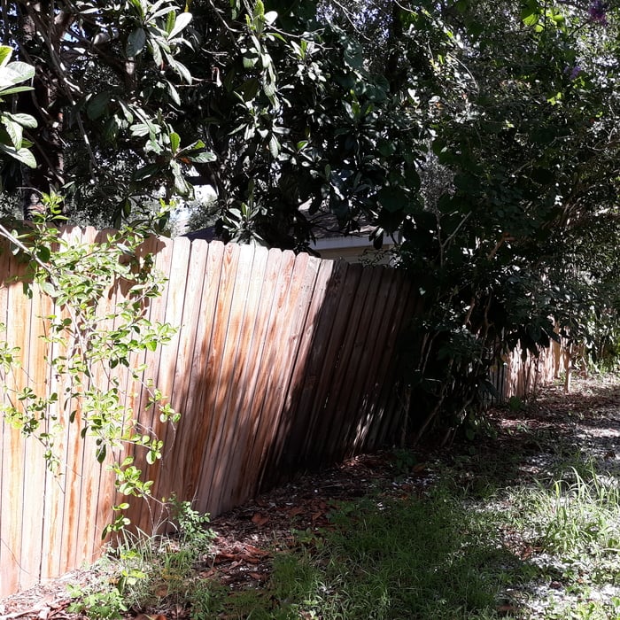 Back Fence