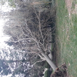 Recent storm damage work