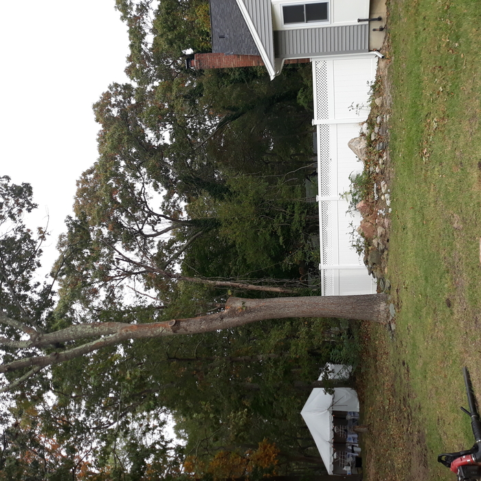 Recent storm damage work