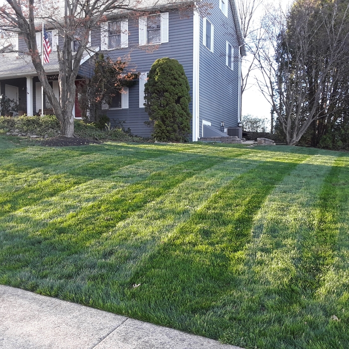 Mowing