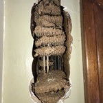 Wasp nest in wall space.