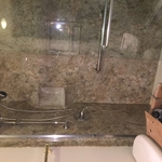 Shower remodel