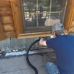 Bat Exclusion/Clean Up