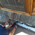 Bat Exclusion/Clean Up