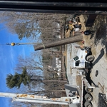 Large Tree Removal