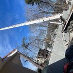 Large Tree Removal