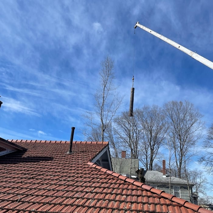 Large Tree Removal