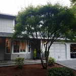 Our work