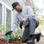 Termite Treatment
