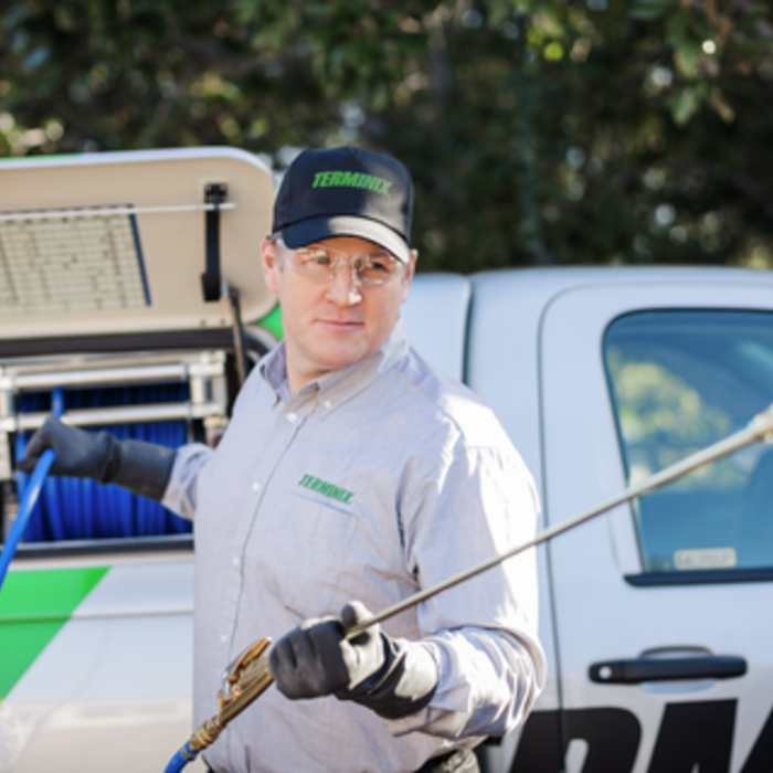 Termite Treatment