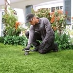 Termite Treatment