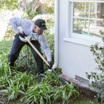 Termite Treatment
