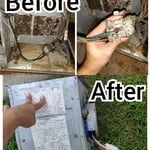 Mold cleaning