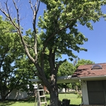 Before removal