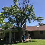 before removal