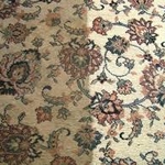 Persian Rug